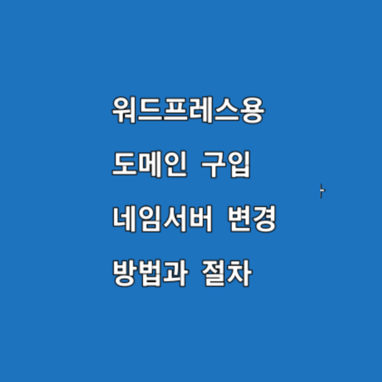 WP용 도메인 구입 네임서버 변경 방법과 절차